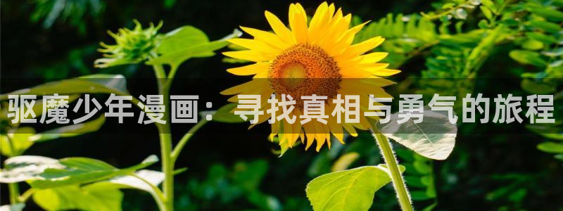 91漫画在线免费观看：驱魔少年漫画：寻找真相与勇气的旅程