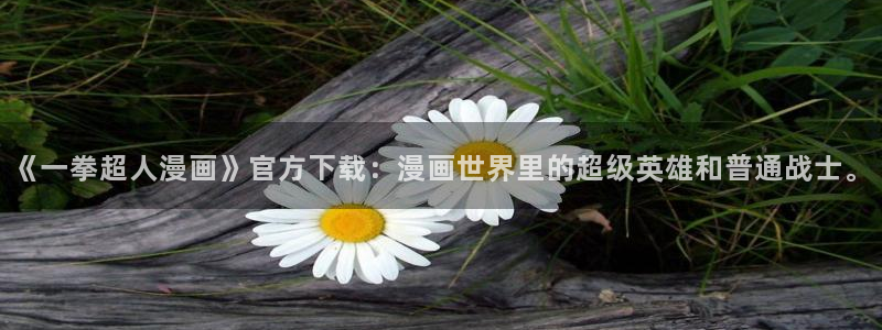 1186391漫画：《一拳超人漫画》官方下载：漫画世界里的超级英雄和普通战士。